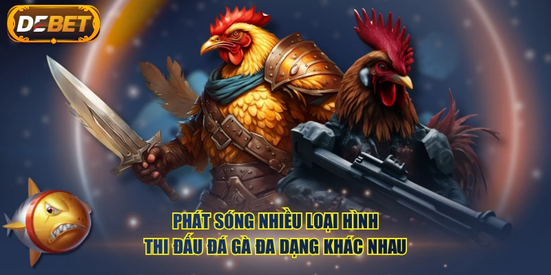 Phát sóng nhiều loại hình thi đấu đá gà đa dạng khác nhau